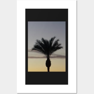 Single Palm Tree Silhouette at Sunset Posters and Art